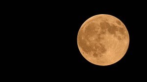 An orange "harvest moon" rises over Manassas, Virginia on Sept. 26, Sept., 2007. A harvest moon is the full moon that appears nearest to the Autumnal Equinox. (Credit: KAREN BLEIER /AFP/ Getty Images)