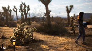 Victoria GeVoian, executive officer of the Institute of Mentalphysics, walks through part of the 400-acre desert landscape used for meditation and group retreats. (Credit: Gina Ferazzi / Los Angeles Times)