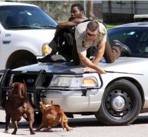 The owner of two dogs was cited on after the pets caused a ruckus near a school in Oklahoma school on Sept. 16, 2016. (Credit: Ray Dyer/ El Reno Tribune)