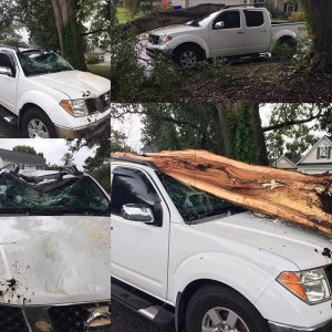Hermine left a trail of destruction in her path as the storm has traveled up the East coast. This truck was severely damaged in South Carolina when a tree fell on it. (Credit: CNN)