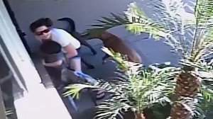 Surveillance video shows two dogs attacking a mother and child in Anaheim on Nov. 8, 2016.