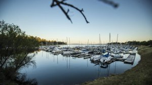 A view of Folsom Lake Marina on Folsom Lake near Sacramento in May. (Credit: Allen J. Schaben/Los Angeles Times)