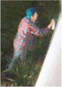 The Los Angeles County Sheriff's Department released this image of a female graffiti suspect seen defacing historical landmarks in downtown Los Angeles on Nov. 20, 2016.