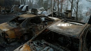 The remains of a home and cars smolder after a wildfire November 29, 2016 in Gatlinburg, Tennessee (Credit: Brian Blanco/Getty Images)