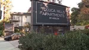 Authorities were investigating a fatal shooting at the Toluca Hills Apartments in Hollywood Hills on Nov. 29, 2016. (Credit: KTLA)
