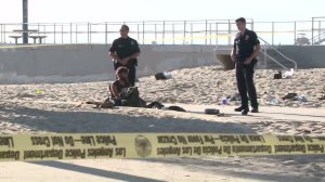 A dog was shot and killed by a mounted LAPD officer on Nov. 4, 2016. (Credit: KTLA)