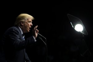 President-elect Donald Trump speaks at the DeltaPlex Arena, Dec. 9, 2016 in Grand Rapids, Michigan. (Credit: Drew Angerer/Getty Images)