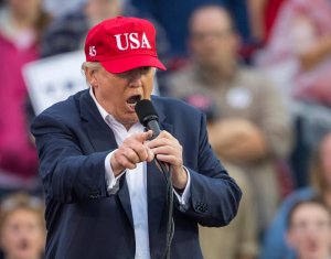President-elect Donald Trump speaks during a thank you rally in Ladd-Peebles Stadium on Dec. 17, 2016, in Mobile, Alabama. (Credit: Mark Wallheiser/Getty Images)