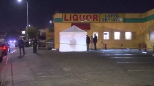 Authorities respond to the South L.A. liquor store where a man was found fatally shot. (Credit: KTLA)
