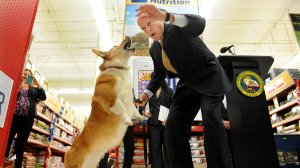 Gov. Jerry Brown gives his dog, Sutter, a snack before a Los Angeles press conference to promote the California Pet Lover's License Plate in 2012. (Credit: Wally Skalij / Los Angeles Times)
