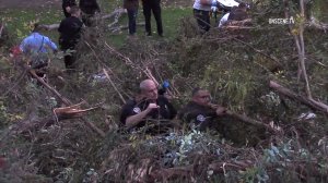 Authorities work at Penn Park in Whittier after a tree fell on a wedding party on Dec. 17, 2016. (Credit: OnScene.TV)