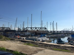 A body was found in the water at a marina in Wilmington on Jan. 14, 2017. (Credit: Nerissa Knight)