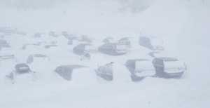 Vehicles are covered in snow in the parking lot at Mammoth Mountain's main lodge on Jan. 5, 2017. (Credit: MMSA)