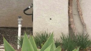 A bullet hole pierced a home in Pomona where a boy was fatally shot on Feb. 20, 2017. (Credit: KTLA) 