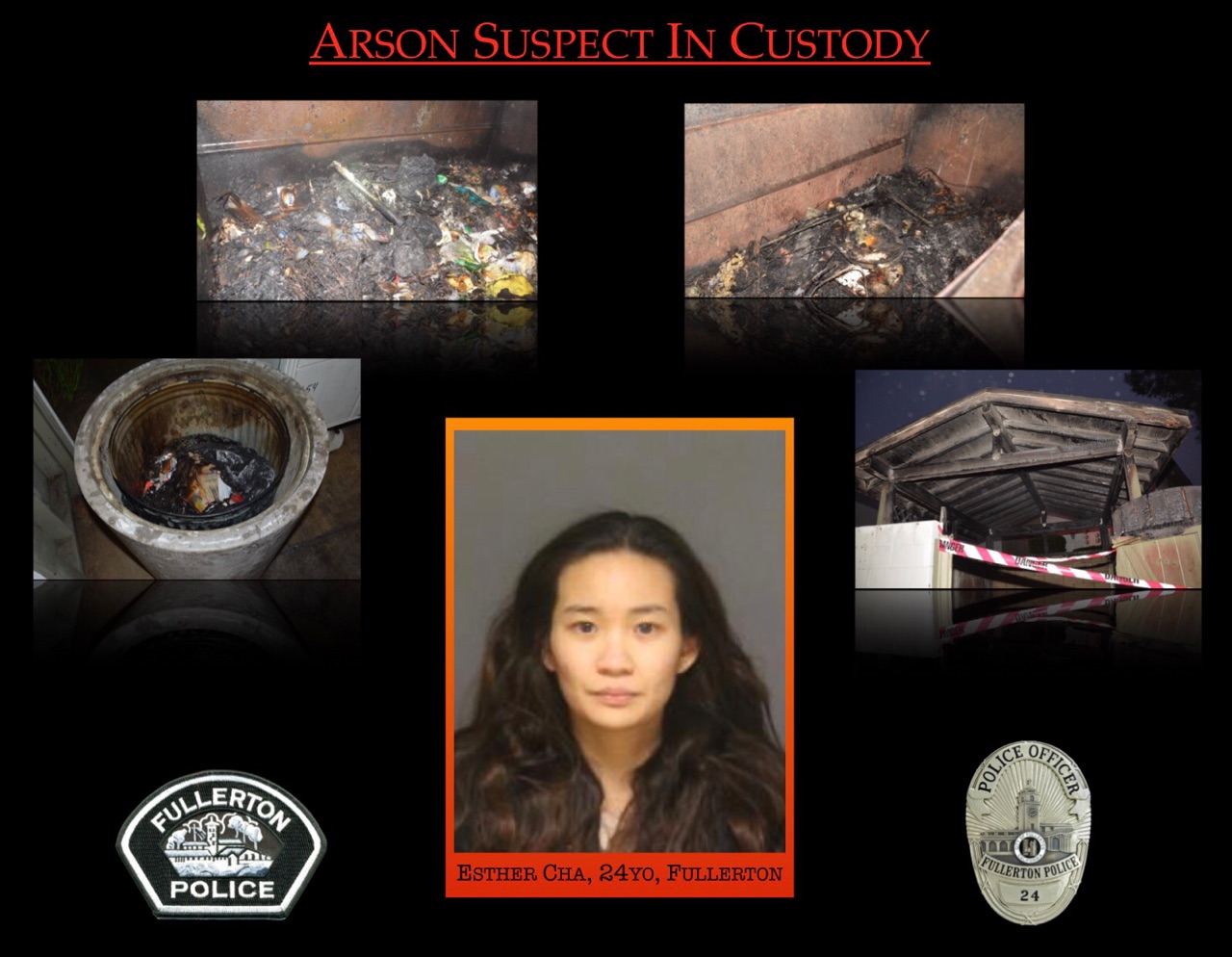 Fullerton police officials released this collage of crimes they believe are tied to Eun “Esther” Cha on Feb. 20, 2017.