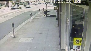 Surveillance video captured the moment an 83-year-old woman was shoved to the ground in Koreatown on Feb. 1, 2017.