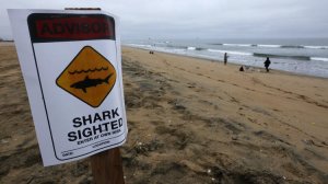 Lifeguards are keeping a stretch of shoreline between Sunset Beach and Bolsa Chica State Beach closed to swimmers and surfers after a shark sighting. (Credit: Mark Boster / Los Angeles Times)