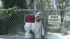 A vector control official responds to the 1000 block of Parkridge Avenue in Norco, where two people and a dog were repeatedly stung by bees on Feb. 23, 2017. (Credit: Casper News)