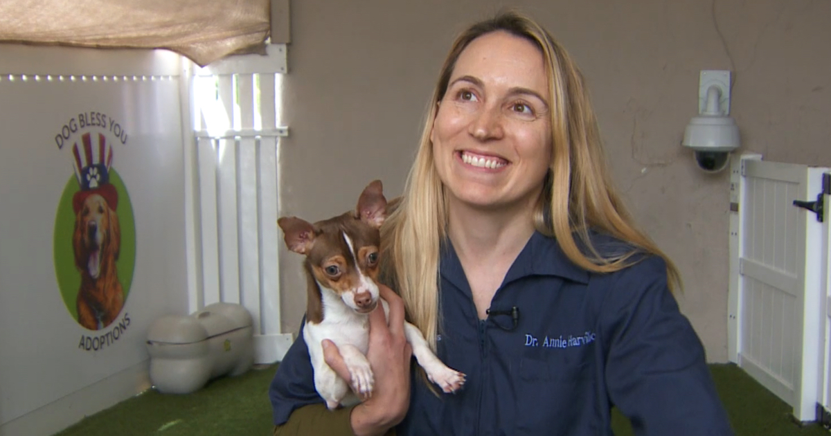 "Dr. Annie" at Animal Wellness Centers in Marina Del Rey, CA