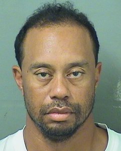 Tiger Woods is seen in a booking photo released by the Palm Beach County Sheriff's Office.