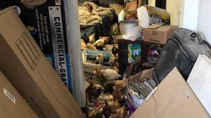 Nearly 2,000 animals were rescued from "appalling" conditions," authorities say. (Credit: Inland Valley Humane Society and SPCA)