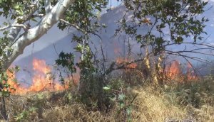 A brush blaze was burning in Riverside on Aug. 13, 2017. (Credit: LOUDLABS)