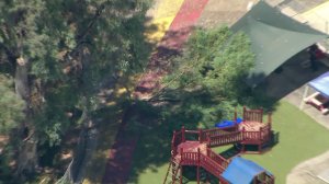 Three children were injured after a branch fell near a play area at a daycare-type center in Pasadena on Aug. 29, 2017. (Credit: KTLA)