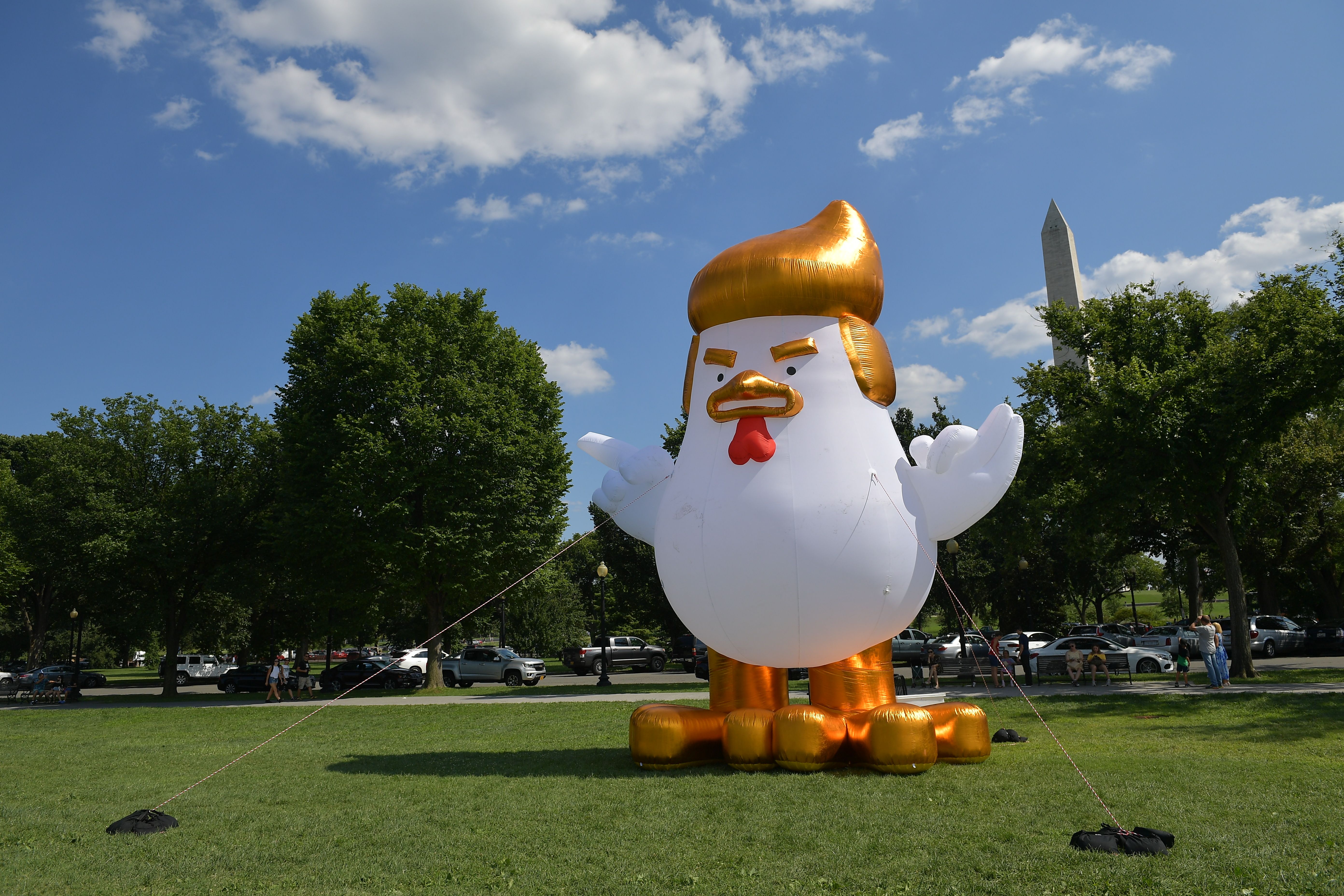 An inflatable chicken mocking President Donald Trump is set up on The Ellipse, just south of the White House, Aug. 9, 2017. (Credit: MANDEL NGAN/AFP/Getty Images)