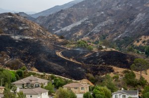 Scorched terrain sits behind houses that were untouched by the La Tuna Fire on Sept. 3, 2017. (Credit: David McNew / Getty Images)