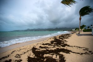 A picture taken on September 5, 2017 shows a view of the Baie Nettle beach in Marigot, with the wind blowing ahead of the arrival of Hurricane Irma. (Credit: LIONEL CHAMOISEAU/AFP/Getty Images)