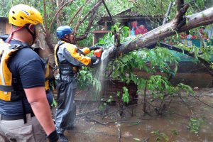 Search and rescue crew members clears a fallen tree over a road during a search mission as hurricane Irma hits Puerto Rico in Fajardo on September 6,2017. (Credit: RICARDO ARDUENGO/AFP/Getty Images)