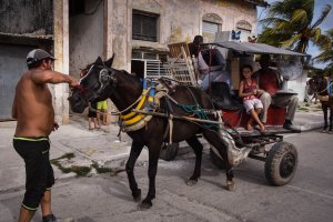 Carrying their belongings by horseback, these people in the Cuban town of Caibarien try to get to safer ground on Sept. 8, 2017. (Credit: Adalberto Roque/AFP/Getty Images)