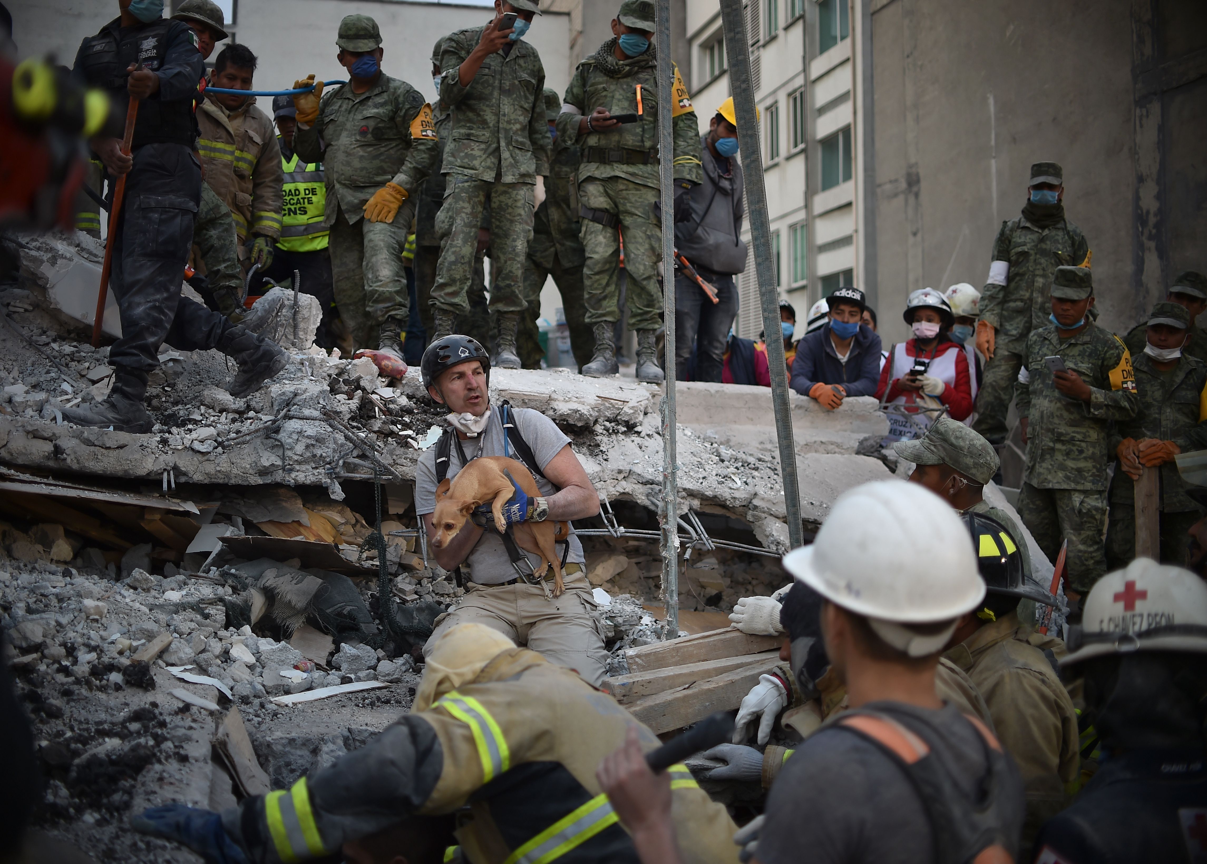 A rescuer pulls a dog out of the rubble during the search for survivors in Mexico City on Sept. 20, 2017, after a strong quake hit central Mexico. (Credit: YURI CORTEZ/AFP/Getty Images)