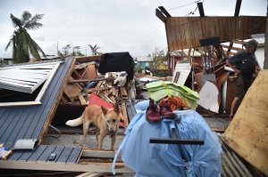 A man walks in his house destroyed by Hurricane Maria, in Catano, Puerto Rico, on Sept. 21, 2017. (Credit: Hector Retamal / AFP / Getty Images)