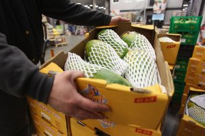 A shopper lifts up a box of Brazilian papaya fruits at the central market on April 20, 2010, in Berlin, Germany. (Credit: Andreas Rentz/Getty Images)