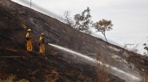 Firefighters work hot spots on steep terrain in the hills above Sun Valley on Sunday morning. (Credit: Francine Orr/Los Angeles Times)