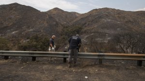 LA Fire Dept. arson investigators search for clues along La Tuna Canyon Rd. (Credit: Allen J. Schaben / Los Angeles Times)