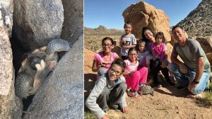 Photos released by Joshua Tree National Park officials on Sept. 29, 2017 show a family with a tortoise they helped free from boulders.