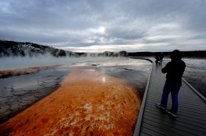 View of the "Grand Prismatic" hot spring in the Yellowstone National Park, Wyoming, on June 1, 2011. (Credit: AFP PHOTO/Mark RALSTON (Photo credit should read MARK RALSTON/AFP/Getty Images)