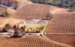 An aerial view shows a burned property surrounded by charred vineyards in Santa Rosa on Oct. 12, 2017. (Credit: Josh Edelson / AFP / Getty Images)
