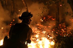 Cal Fire firefighter Trevor Smith monitors a firing operation while battling the Tubbs Fire on Oct. 12, 2017, near Calistoga. (Credit: Justin Sullivan / Getty Images)
