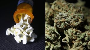 At right, Oxycodone pain pills prescribed for a patient with chronic pain lie on display in March 2016; left, a bowl of medicinal marijuana is displayed at The International Cannabis and Hemp Expo April in Daly City, April 2010. (Credit: John Moore, right / Justin Sullivan, left / Getty Images)