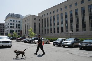 A Federal Facilities Protection Service K-9 and handler inspect the vehicles parked outside Prettyman Federal Court House where Ahmed Abu Khattala, one of the suspected ringleaders of the 2012 attacks in Benghazi, Libya, had a pretrial detention hearing July 2, 2014 in Washington, D.C. (Credit: Chip Somodevilla/Getty Images)