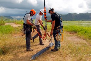 Whitefish Energy Holdings workers repair power line towers after Hurricane Maria in Manati, Puerto Rico on October 31, 2017. (Credit: Ricardo Arduengo/AFP/Getty Images)