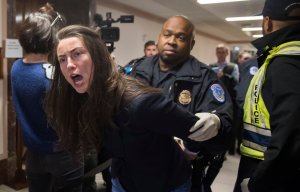 Capitol Police arrest a protester demonstrating against tax reform outside a Senate Budget Committee hearing on Capitol Hill, Nov. 28, 2017. (Credit: Saul Loeb / AFP / Getty Images)