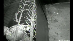 A security video released on Nov. 22 shows a man breaking into the Fog Shots distillery in downtown Los Angeles. (Credit: Fog Shots)