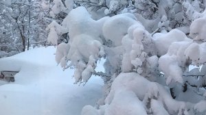 Erie, Pennsylvania, had a total of 34 inches of snow on Christmas Day, blanketing the city and shattering the city's previous records for snowfall in a single day. (Credit: Kara Murphy)