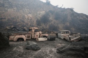 Old cars sit amidst a landscaped charred by the Thomas Fire in Ojai on Dec. 8, 2017. (Credit: Mario Tama / Getty Images)