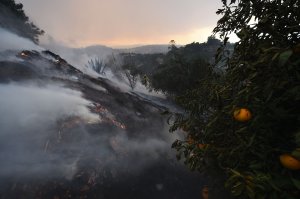 A firefighter puts out hotspots on a smoldering hillside in Montecito as strong winds blow smoke and embers inland, Dec. 16, 2017. (Credit: Robyn Beck / AFP / Getty Images)