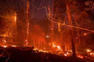 A strong wind blows embers from smoldering trees as the Thomas Fire burns in Montecito on Dec. 16, 2017. (Credit: David McNew / Getty Images)